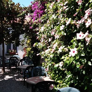 Hotel Mitus, Canet De Mar